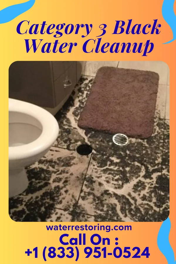 Category 3 Black Water Cleanup in Sabetha, KS