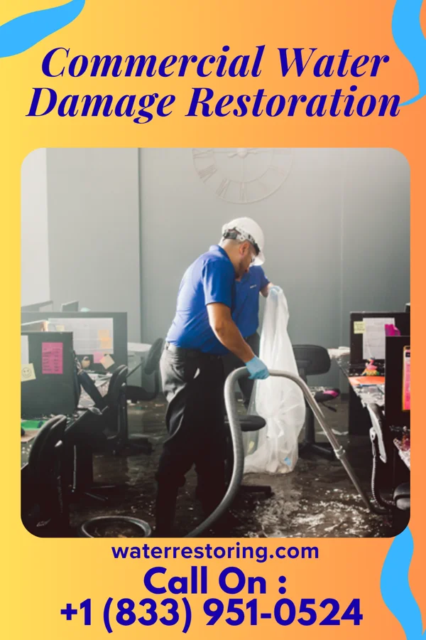 Commercial Water Damage Restoration in Sabetha, KS